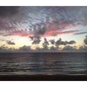 Jayne Bartlett's photo