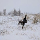 Jenny Primm's photo