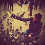 Karim Ashour's photo