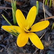 Catherine Taphorn Dunevant's photo