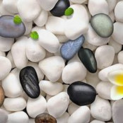 Romeo Savin's photo