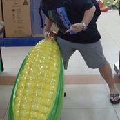 Foto von Cornelius Wai