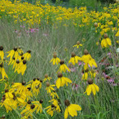 Elizabeth Eck's photo