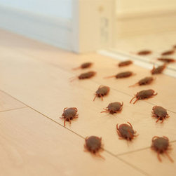 Pest Control Melbourne - Products
