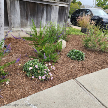 Small Dana Point Front Garden Makeover