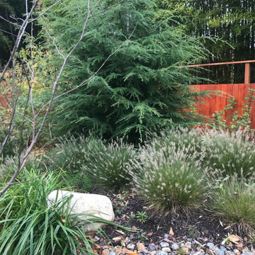 Lake Whatcome Watershed Project