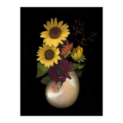 Artist:  Kimberly Charles - Photographs