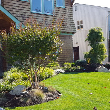 Front Foundation Landscaping