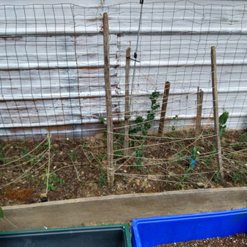 Small raised enclosed garden and patio area