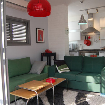 The apartment in Cremieux Street