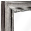 Roux Transitional Gray Wood Frame Mirror, 30"x48"