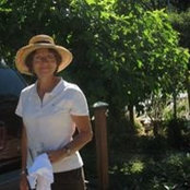 Madeleine Pearce's photo