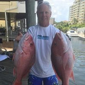 Tom Hargrove's photo