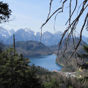 Philip Thompson's photo