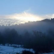 Sarah Chauvin Hauptfleisch's photo