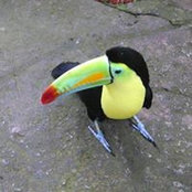 Foto von Shirley Pérez