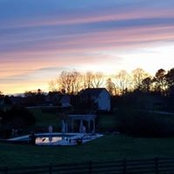 Virginia Wolfe's photo