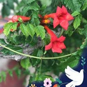 Eileen Mockli's photo