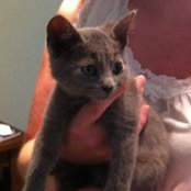 Liz Cann's photo
