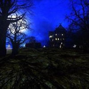 Phil Di Stefano's photo