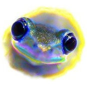 Foto di Robert Zash