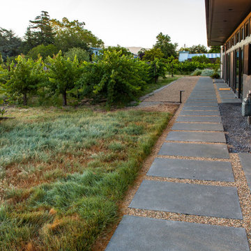 Resilient Landscapes with California native plants