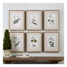 Uttermost "Green Floral" 6-Piece Botanical Study Print Set, 17.63"x22.63"