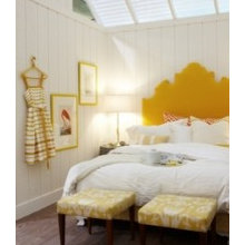 Colors:  Yellow