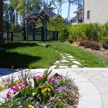 New Home, Backyard from scratch