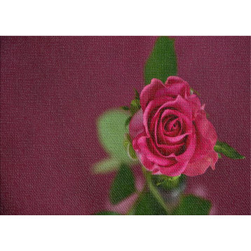 Pink Rose 1 Area Rug, 5'0"x7'0"