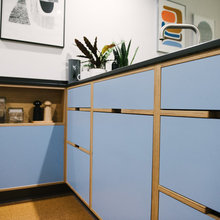 birch cabinets with cut outs
