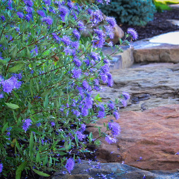 Flagstone and Flowers