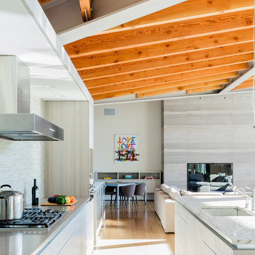 Contemporary Kitchens