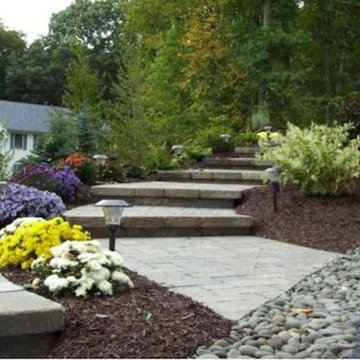 Front Yard Landscaping