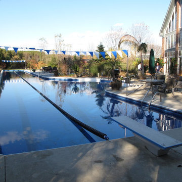 Worlds Longest Vinyl Liner Pool (165' Olympic Pool)