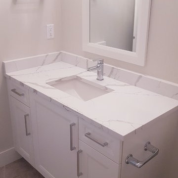 Statuario Elegante Quartz Countertop