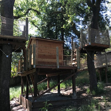 Alamo Treehouse #2