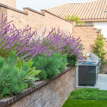 Outdoor Kitchen