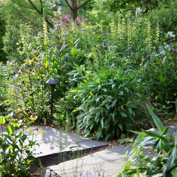 Narberth, PA - Landscape Restoration & Hardscaping