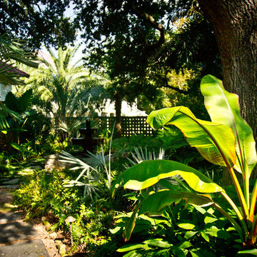 Tropical Bayou St. John Residence