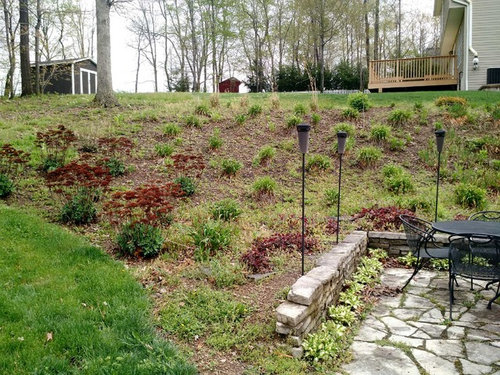 landscaping ideas for steep hillside