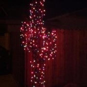Cyndi Cobb Townsend's photo