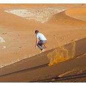 Tal Lavee's photo