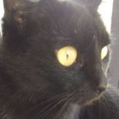 Martine O'Callaghan's photo