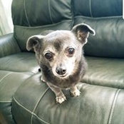 Nick Peel's photo