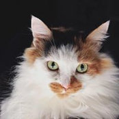 Judi Thomas's photo