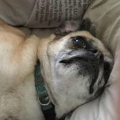 Cathy Carillo's photo