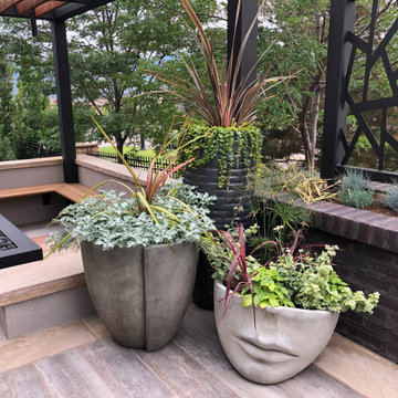 MODERN OASIS