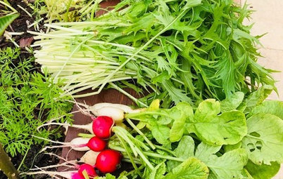 See What’s Growing in These Backyard Edible Gardens