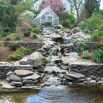 Stitch Pond, Vienna VA